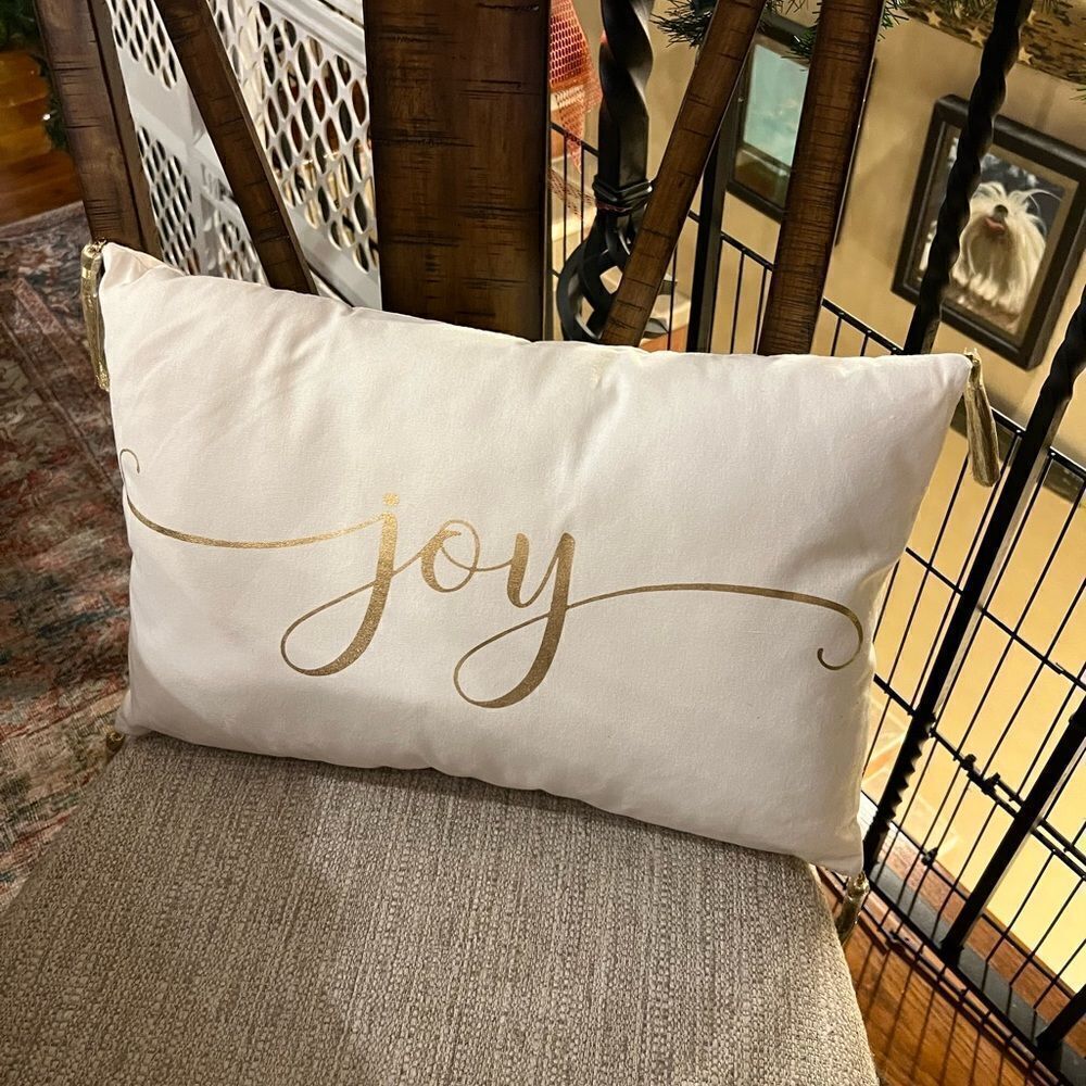 Beautiful Joy pillow (NWT)